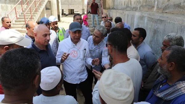 محافظ المنيا