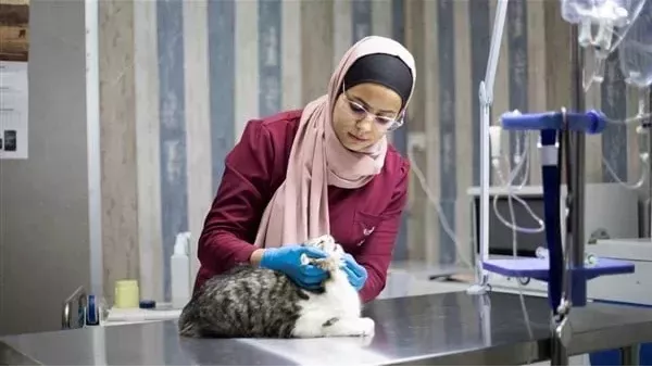  تنسيق طب بيطري 2024