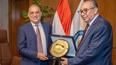 إنشاء مصنع لإنتاج الميلامين في مصر بطاقة إنتاجية 60 ألف طن سنويًا 