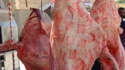 أسعار اللحوم اليوم السبت 12 أكتوبر 2024 في الأسواق