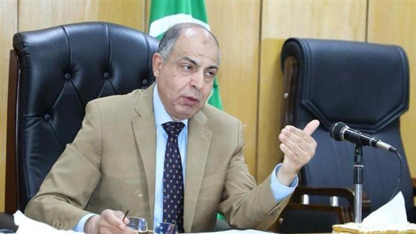 محافظ المنيا