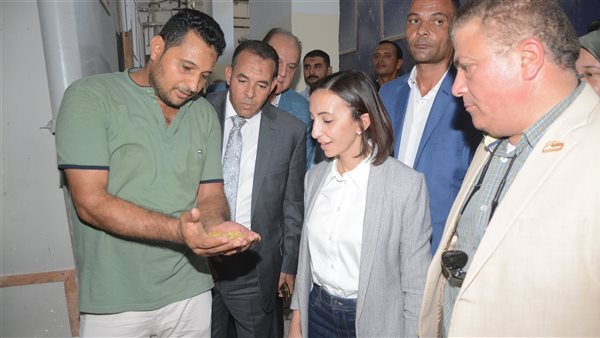 محافظ البحيرة تتفقد