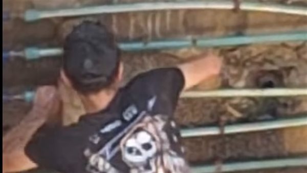 المتهم بسرقة عدادات