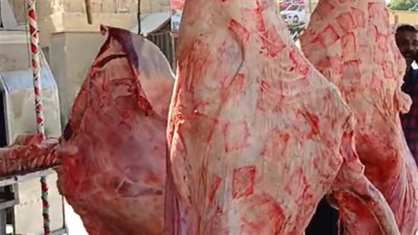 أسعار اللحوم
