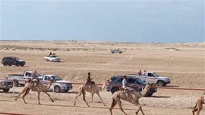 محافظ شمال سيناء يطلق إشارة بدء سباق الهجن بالعريش