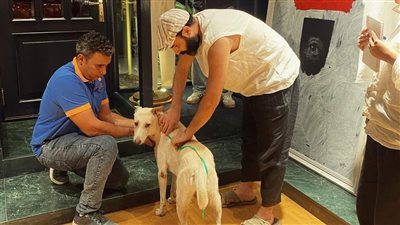 اللمسات الأخيرة قبل ظهور السيد رامبو بطل الفيلم مع عصام عمر على السجادة الحمراء في فينيسيا