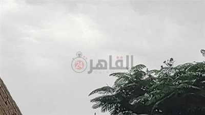 حالة الطقس في مصر الأسبوع الجاري.. شبورة مائية ونشاط للرياح