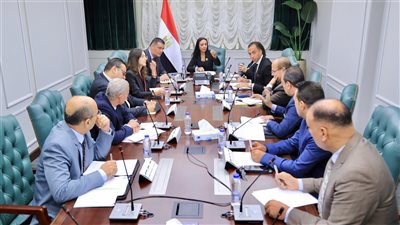 بدلًا من دور الأيتام.. التضامن: 23 بيتًا صغيرًا في مصر حتى الآن