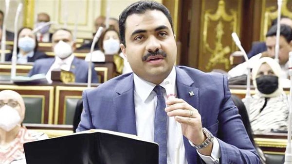 النائب محمود قاسم