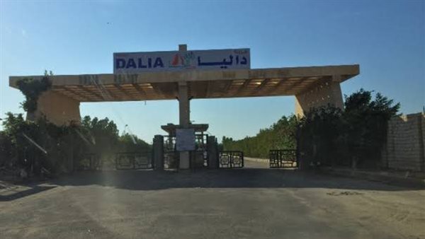 قرية داليا الساحل