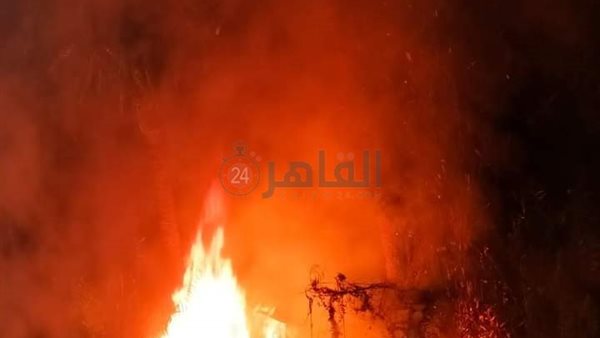 حريق أشجار النخيل