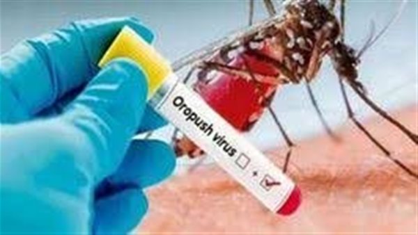 فيروس أوروبوش