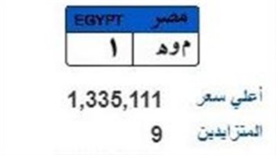 9 أشخاص يتزايدون على لوحة مرور مميزة بسعر مليون و300 ألف