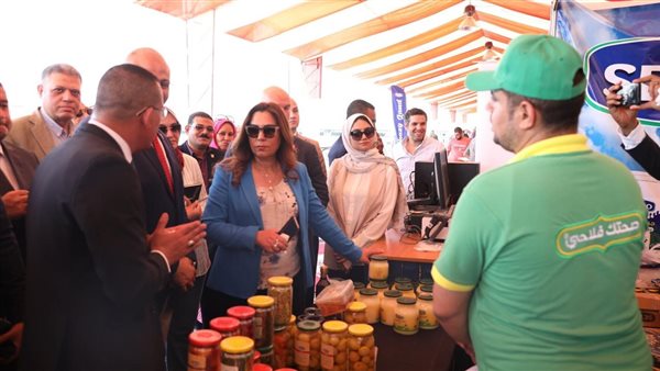 وزيرة التنمية المحلية