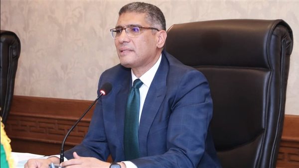 محافظ الجيزة