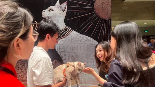 فعالية لتبجيل آلهة