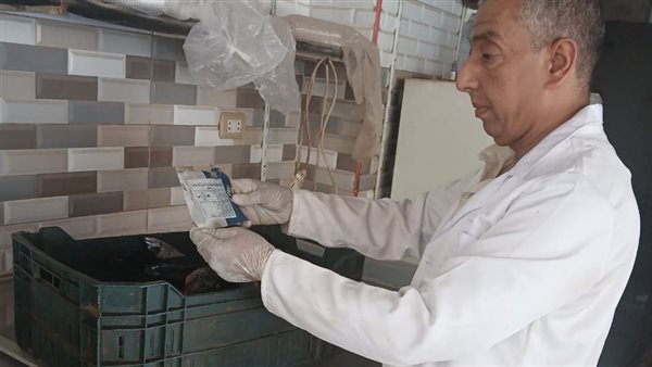 جانب من الحملات