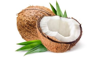 في اليوم العالمي له.. تعرف على فوائد جوز الهند