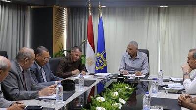 محافظ أسوان: إجراءات عاجلة للقضاء على مشكلة الانقطاع المتكرر للكهرباء بعدد من المناطق السكنية