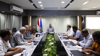 محافظ أسوان: ننفذ مشروعات لتوزيع الكهرباء عبر توفير مغذيات بديلة بمختلف مدن ومراكز المحافظة