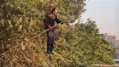 لفتة إنسانية.. الحماية المدنية بالقاهرة تساعد كفيفا سقط من شرفة منزله