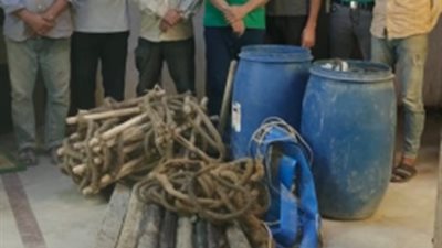 بحثا عن الثراء.. القبض على 7 أشخاص بتهمة التنقيب عن الآثار بالقاهرة 