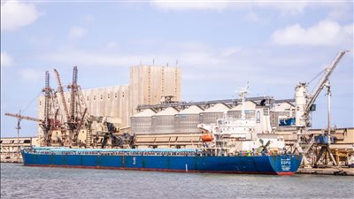 مصر تستورد 48 ألف طن قمح من بلغاريا لدعم السلع التموينية