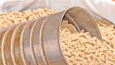 اتحاد منتجي الدواجن: تراجع طن الأعلاف 10 آلاف جنيه