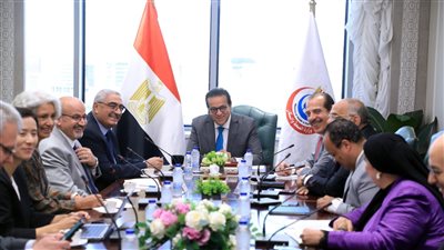 خالد عبد الغفار يبحث مع منظمة الصحة العالمية احتياجات تقديم الخدمات الطبية للفلسطينيين