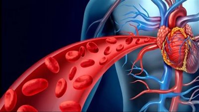 جراح أوعية دموية يكشف عن تمرين بسيط لمدة دقيقتين لمواجهة أضرار الجلوس الطويل