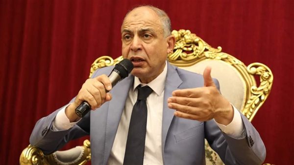 محافظ المنيا