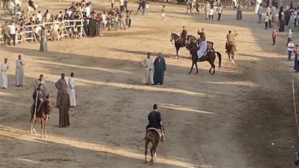 تجمع لفرسان الصعيد