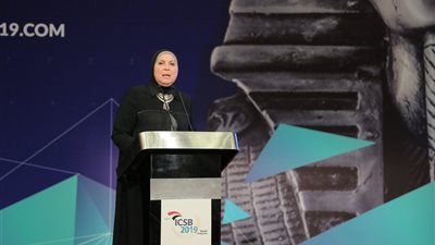 وزيرة التجارة: دعم تحويل السيارات للعمل بالوقود المزدوج بمليار جنيه لمدة 3 سنوات