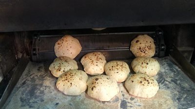 برلماني: وزير التموين لا يملك حق قرار تخفيض حجم رغيف الخبز