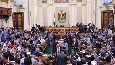 25 مليون جنيه غرامة إلقائها بالبحر.. البرلمان يوافق على قانون تنظيم إدارة المخلفات