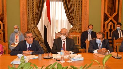 الخارجية تستقبل سفراء الدول الأوروبية في القاهرة لإطلاعهم على آخر مستجدات سد النهضة