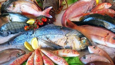 سعر الأسماك اليوم الأحد 23 أغسطس 2020 في الأسواق