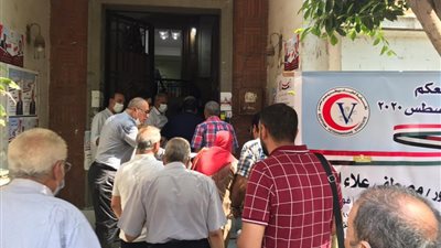 انطلاق انتخابات الأطباء البيطريين على مستوى الجمهورية