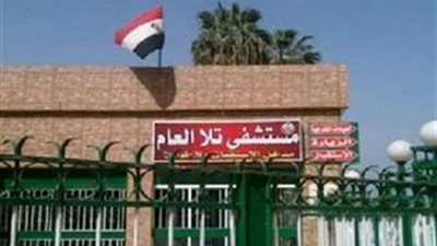 ضبط شقيقين اعتديا على الطاقم الطبي بمستشفى تلا بالمنوفية