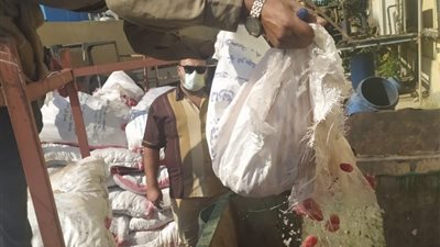 ضبط وإعدام 13 طن خضروات وفاكهة غير صالحة للاستهلاك الآدمي بالشرقية (صور)