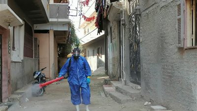 ظهور حشرة “القراد” داخل قريتين بالمنوفية.. و”الصحة” تدفع بوحدة ناقلات الأمراض