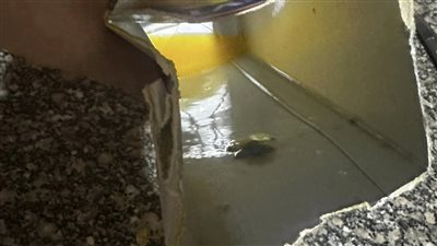 سيدة تكتشف وجود عفن في عبوة عصير لعلامة تجارية شهيرة 