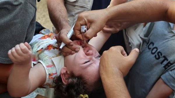 حملة التطعيم بغزة