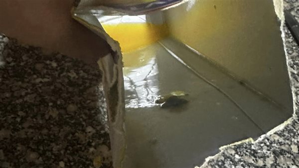 سيدة تكتشف وجود عفن