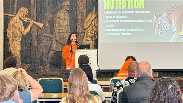  الاتحاد الإفريقي