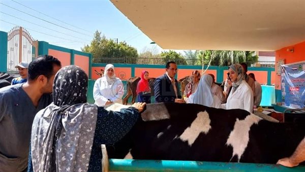 بيطري المنيا 