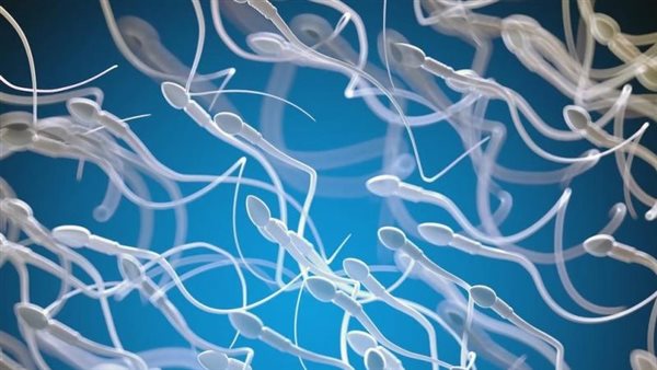  صورة تعبيرية 