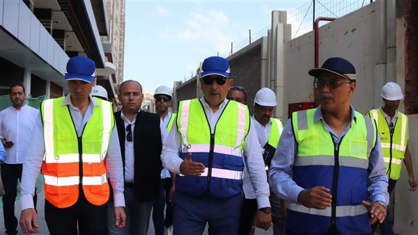 وزير قطاع الأعمال