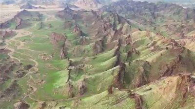 جبال مكة يكسوها الخضار بعد انتهاء الأمطار| صور