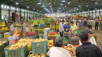 الغرف التجارية: عندنا اكتفاء ذاتي من الخضار والفاكهة.. والموجة الحارة سبب ارتفاع الأسعار 